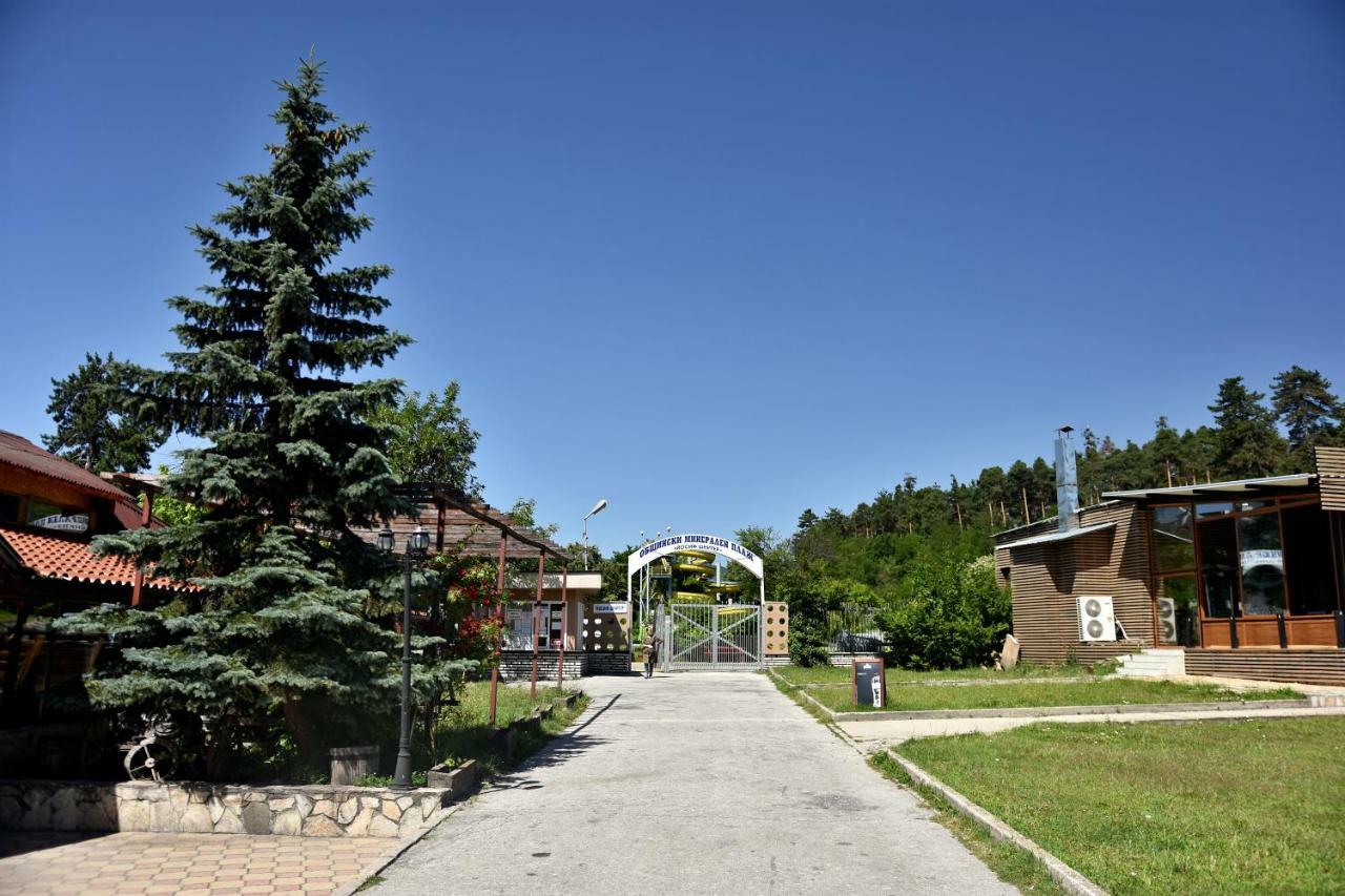City Apartments Velingrad Exteriér fotografie